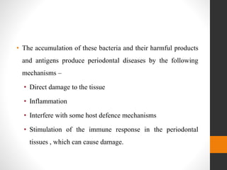 • The accumulation of these bacteria and their harmful products
and antigens produce periodontal diseases by the following
mechanisms –
• Direct damage to the tissue
• Inflammation
• Interfere with some host defence mechanisms
• Stimulation of the immune response in the periodontal
tissues , which can cause damage.
 