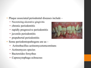 • Plaque associated periodontal diseases include –
• Necrotizing ulcerative gingivitis
• chronic periodontitis
• rapidly progressive periodontitis
• juvenile periodontitis
• prepubertal periodontitis
• Some periodontopathogens are as –
• Actinobacillus actinomycetemcomitans
• Actinomyces species
• Bacteroides forsythus
• Capnocytophaga ochraceus
 
