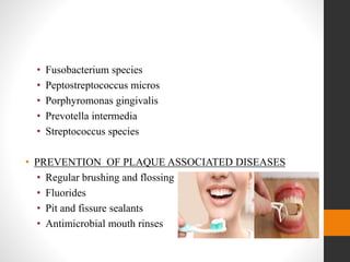 • Fusobacterium species
• Peptostreptococcus micros
• Porphyromonas gingivalis
• Prevotella intermedia
• Streptococcus species
• PREVENTION OF PLAQUE ASSOCIATED DISEASES
• Regular brushing and flossing
• Fluorides
• Pit and fissure sealants
• Antimicrobial mouth rinses
 