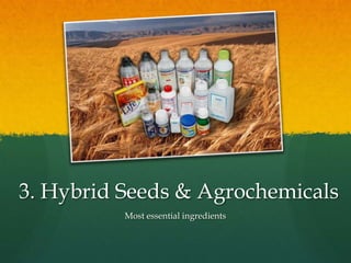 3. Hybrid Seeds & Agrochemicals
Most essential ingredients

 