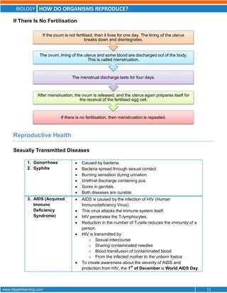 BIOLOGY HOW DO ORGANISMS REPRODUCE?
www.topperlearning.com 11
If There Is No Fertilisation
Reproductive Health
Sexually Transmitted Diseases
1. Gonorrhoea
2. Syphilis
 Caused by bacteria.
 Bacteria spread through sexual contact.
 Burning sensation during urination.
 Urethral discharge containing pus.
 Sores in genitals.
 Both diseases are curable.
3. AIDS (Acquired
Immuno
Deficiency
Syndrome)
 AIDS is caused by the infection of HIV (Human
Immunodeficiency Virus).
 This virus attacks the immune system itself.
 HIV penetrates the T-lymphocytes.
 Reduction in the number of T-cells reduces the immunity of a
person.
 HIV is transmitted by
o Sexual intercourse
o Sharing contaminated needles
o Blood transfusion of contaminated blood
o From the infected mother to the unborn foetus
 To create awareness about the severity of AIDS and
protection from HIV, the 1st
of December is World AIDS Day.
If there is no fertilisation, then menstruation is repeated.
After menstruation, the ovum is released, and the uterus again prepares itself for
the receival of the fertilised egg cell.
The menstrual discharge lasts for four days.
The ovum, lining of the uterus and some blood are discharged out of the body.
This is called menstruation.
If the ovum is not fertilised, then it lives for one day. The lining of the uterus
breaks down and disintegrates.
 