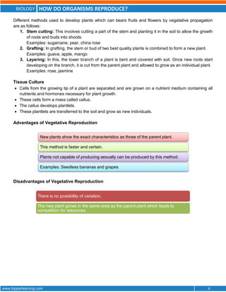BIOLOGY HOW DO ORGANISMS REPRODUCE?
www.topperlearning.com 4
Different methods used to develop plants which can bears fruits and flowers by vegetative propagation
are as follows:
1. Stem cutting: This involves cutting a part of the stem and planting it in the soil to allow the growth
of roots and buds into shoots.
Examples: sugarcane, pear, china rose
2. Grafting: In grafting, the stem or bud of two best quality plants is combined to form a new plant.
Examples: guava, apple, mango
3. Layering: In this, the lower branch of a plant is bent and covered with soil. Once new roots start
developing on the branch, it is cut from the parent plant and allowed to grow as an individual plant.
Examples: rose, jasmine
Tissue Culture
 Cells from the growing tip of a plant are separated and are grown on a nutrient medium containing all
nutrients and hormones necessary for plant growth.
 These cells form a mass called callus.
 The callus develops plantlets.
 These plantlets are transferred to the soil and grow as new individuals.
Advantages of Vegetative Reproduction
Disadvantages of Vegetative Reproduction
New plants show the exact characteristics as those of the parent plant.
This method is faster and certain.
Plants not capable of producing sexually can be produced by this method.
Examples: Seedless bananas and grapes
There is no possibility of variation.
The new plant grows in the same area as the parent plant which leads to
competition for resources.
 