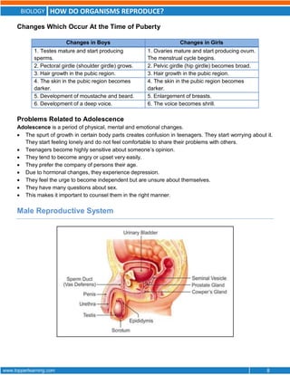 BIOLOGY HOW DO ORGANISMS REPRODUCE?
www.topperlearning.com 8
Changes Which Occur At the Time of Puberty
Changes in Boys Changes in Girls
1. Testes mature and start producing
sperms.
1. Ovaries mature and start producing ovum.
The menstrual cycle begins.
2. Pectoral girdle (shoulder girdle) grows. 2. Pelvic girdle (hip girdle) becomes broad.
3. Hair growth in the pubic region. 3. Hair growth in the pubic region.
4. The skin in the pubic region becomes
darker.
4. The skin in the pubic region becomes
darker.
5. Development of moustache and beard. 5. Enlargement of breasts.
6. Development of a deep voice. 6. The voice becomes shrill.
Problems Related to Adolescence
Adolescence is a period of physical, mental and emotional changes.
 The spurt of growth in certain body parts creates confusion in teenagers. They start worrying about it.
They start feeling lonely and do not feel comfortable to share their problems with others.
 Teenagers become highly sensitive about someone’s opinion.
 They tend to become angry or upset very easily.
 They prefer the company of persons their age.
 Due to hormonal changes, they experience depression.
 They feel the urge to become independent but are unsure about themselves.
 They have many questions about sex.
 This makes it important to counsel them in the right manner.
Male Reproductive System
 