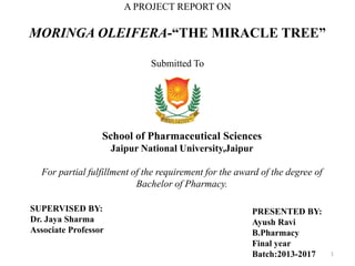 A PROJECT REPORT ON
MORINGA OLEIFERA-“THE MIRACLE TREE”
Submitted To
1
School of Pharmaceutical Sciences
Jaipur National University,Jaipur
For partial fulfillment of the requirement for the award of the degree of
Bachelor of Pharmacy.
PRESENTED BY:
Ayush Ravi
B.Pharmacy
Final year
Batch:2013-2017
SUPERVISED BY:
Dr. Jaya Sharma
Associate Professor
 