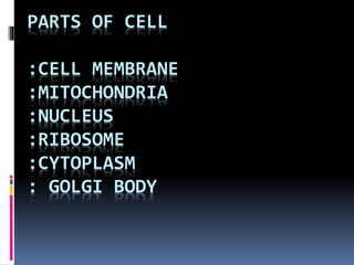 PARTS OF CELL
:CELL MEMBRANE
:MITOCHONDRIA
:NUCLEUS
:RIBOSOME
:CYTOPLASM
: GOLGI BODY
 