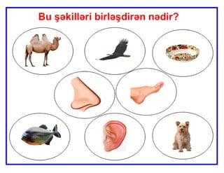 Mürəkkəb sözlər