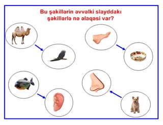 Mürəkkəb sözlər