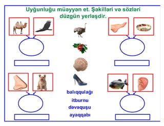 Mürəkkəb sözlər