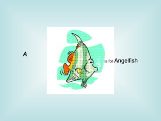 is for  Angelfish                                                                 A   