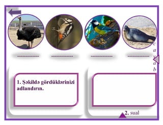 Mürəkkəb sözlər