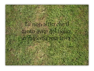 Tu non altro che il
canto avrai del figlio,
o materna mia terra
 