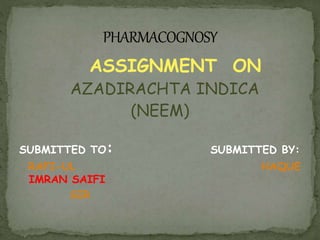 ASSIGNMENT ON
AZADIRACHTA INDICA
(NEEM)
SUBMITTED TO: SUBMITTED BY:
RAFI-UL HAQUE
IMRAN SAIFI
SIR
 