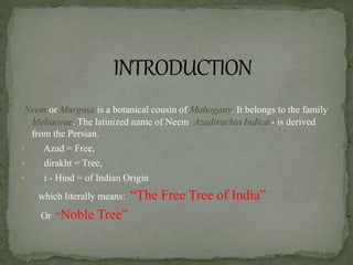 Neem or Margosa is a botanical cousin of Mahogany. It belongs to the family
Meliaceae. The latinized name of Neem Azadirachta Indica - is derived
from the Persian.
• Azad = Free,
• dirakht = Tree,
• i - Hind = of Indian Origin
which literally means: “The Free Tree of India”
Or “Noble Tree”
 