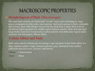  Morphological of Bark (Macroscopy)
The outer bark consists of a thick hard “woody” outer rind exfoliating in large
pieces comparatively thin corky inner portion. And entire portion is fairly externally
dark brown, thick with oblique furrows but the fresh bark is fairly thick with its
peripheral region purplish red, middle region lustrous starchy white and inner part
tangentially lamellated in transverse section and dry stem bark inner region easily
separates into thin papery fibrous flakes
 Colour, Odour and Taste
Bark varies much in thickeness according to age and parts of tree from where it is
take, external surface rough, fissured and rusty grey, laminated inner surface
yellowish and foliaceous, fracture, and fibrous.
Odour - Characteristic
Taste - Bitter
 