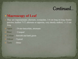  Macroscopy of Leaf
 They are imparipinnate, alternate, exstipulate, 3-6 cm long on long slender
petioles; leaflets 7-17; alternate or opposite, very shortly stalked, 1-1.5 cm
long.
 Apex : Ovate-lanceolate, attenuate
 Base : Unequal
 Colour : Smooth and dark green
 Odour : Typical
 Taste : Bitter
 