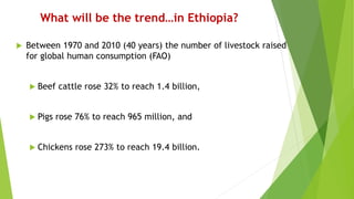 Retrospect and prospects of livestock research and development in Ethiopia