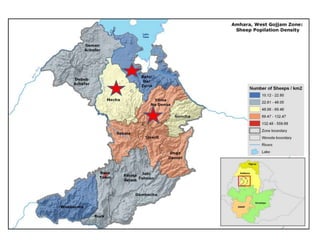 Introduction to Livestock and Irrigation Value Chains for Ethiopian Smallholders (LIVES) Project