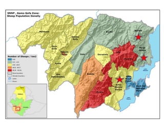 Introduction to Livestock and Irrigation Value Chains for Ethiopian Smallholders (LIVES) Project