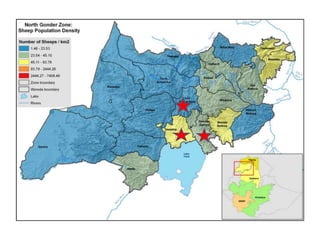 Introduction to Livestock and Irrigation Value Chains for Ethiopian Smallholders (LIVES) Project