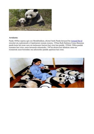 Arrakasta:
Panda 1869an ospetsu egin zen Mendebaldean, ehiztari batek Panda larruazal bat Armand David
misiolari eta exploratzaile n Ezpeletarrari eraman zionena. 1936an Ruth Harkness Estatu Batuetara
panda kume bat eroan zuen eta maitasunez hartzen hasi ziren han pandak. 1936tik 1946ra pandak
eramaten hasi ziren, euren larruazala eskuratzeko. 1947an ekintza hori debekatu zuten eta
txinatarrak euren borondate ona adierazteko pandak oparitzen hasi ziran.
 