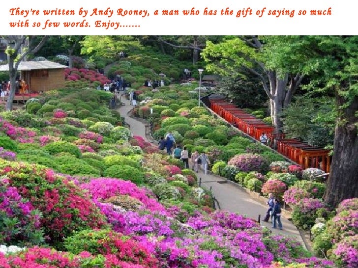 They're written by Andy Rooney, a man who has the gift of saying so much with so few words. Enjoy....... 