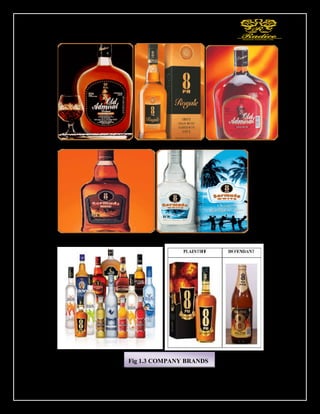 24
Fig 1.3 COMPANY BRANDS
 