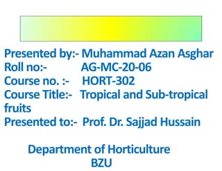 Presented by:- Muhammad Azan Asghar
Roll no:- AG-MC-20-06
Course no. :- HORT-302
Course Title:- Tropical and Sub-tropical
fruits
Presented to:- Prof. Dr. Sajjad Hussain
Department of Horticulture
BZU
 