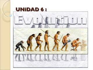 UNiDAD 6 : 