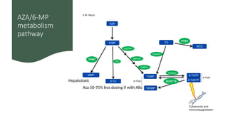 Azathioprine toxicity-clinical features and enzyme testing | PPTX