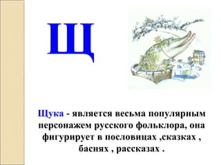 Щука - является весьма популярным 
персонажем русского фольклора, она 
фигурирует в пословицах ,сказках , 
баснях , рассказах .
Щ
 