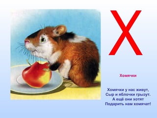 Хомячки
Хомячки у нас живут,
Сыр и яблочки грызут.
А ещё они хотят
Подарить нам хомячат!
 