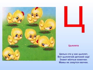 Цыплята
Целых сто у нас цыплят,
Вот цыплячий детский сад!
Знают жёлтые комочки:
Мамы их зовутся квочки.
 