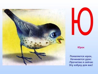 Юрок
Появляется юрок,
Начинается урок:
-Прочитаю я сейчас
Эту азбуку для вас!
 