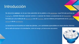 Introducción
Se denomina azúcar, en el uso más extendido de la palabra, a la sacarosa, cuya fórmula química es
C12H22O11, también llamada «azúcar común» o «azúcar de mesa».La sacarosa es un disacárido
formado por una molécula de glucosa y una de fructosa, que se obtiene principalmente de la caña de
azúcar o de la remolacha.
La sacarosa se encuentra en todas las plantas, y en cantidades apreciables en otras plantas distintas
de la caña de azúcar o la remolacha, como el sorgo y el arce arce azucarero
 