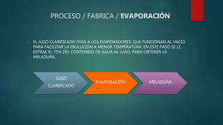 PROCESO / FABRICA / EVAPORACIÓN
• EL JUGO CLARIFICADO PASA A LOS EVAPORADORES, QUE FUNCIONAN AL VACÍO
PARA FACILITAR LA EBULLICIÓN A MENOR TEMPERATURA. EN ESTE PASO SE LE
EXTRAE EL 75% DEL CONTENIDO DE AGUA AL JUGO, PARA OBTENER LA
MELADURA.
JUGO
CLARIFICADO
EVAPORACIÓN MELADURA
 
