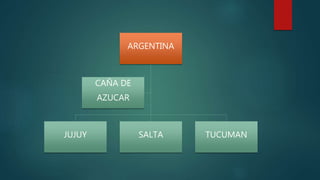 ARGENTINA
JUJUY SALTA TUCUMAN
CAÑA DE
AZUCAR
 