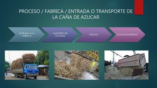 PROCESO / FABRICA / ENTRADA O TRANSPORTE DE
LA CAÑA DE AZUCAR
 