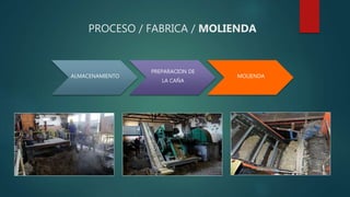 PROCESO / FABRICA / MOLIENDA
ALMACENAMIENTO
PREPARACION DE
LA CAÑA
MOLIENDA
 