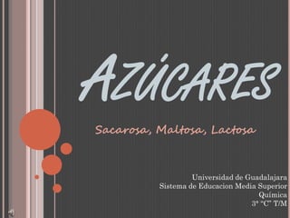 AZÚCARES
Sacarosa, Maltosa, Lactosa
Universidad de Guadalajara
Sistema de Educacion Media Superior
Química
3° “C” T/M
 