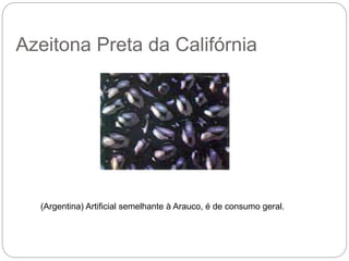 Azeitona Preta da Califórnia
(Argentina) Artificial semelhante à Arauco, é de consumo geral.
 
