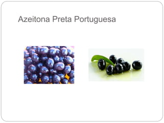 Azeitona Preta Portuguesa
 
