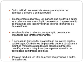  Outro método era o uso de varas que acabava por
danificar a oliveira e os seus frutos.
 Recentemente apareceu um gancho que ajudava a puxar
as azeitonas mas a revolução deu-se com o aparecimento
de máquinas que fazem vibrar as árvores libertando-as
das azeitonas.
 A selecção das azeitonas, a separação de ramos e
impurezas são tarefas importantes.
 É necessário transportar as azeitonas em caixas rígidas
para o lagar. Os moinhos de pedra de outrora passaram a
moinhos metálicos ajudados por prensas hidráulicas,
centrifugadoras e máquinas que separam o azeite por
percolação ou filtração selectiva.
 Para se produzir um litro de azeite são precisos 6 quilos
de azeitonas.
 