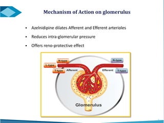 Mechanism of Action on glomerulus
 Azelnidipine dilates Afferent and Efferent arterioles
 Reduces intra-glomerular pressure
 Offers reno-protective effect
12
 