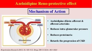 Azelnidipine Reno-protective effect
Hypertension Research (2011) 34, 910–912; Drugs 2003; 63(23): 2613-2621
Mechanism of Action
• Azelnidipine dilates afferent &
efferent arterioles
• Reduces intra-glomerular pressure
• Reduces proteinuria
• Retards the progression of CKD
 