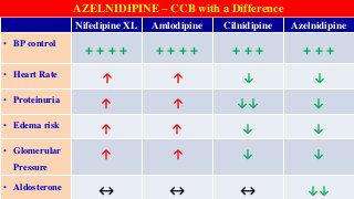 Nifedipine XL Amlodipine Cilnidipine Azelnidipine
• BP control
+ + + + + + + + + + + + + +
• Heart Rate ↑ ↑ ↓ ↓
• Proteinuria ↑ ↑ ↓↓ ↓
• Edema risk ↑ ↑ ↓ ↓
• Glomerular
Pressure
↑ ↑ ↓ ↓
• Aldosterone ↔ ↔ ↔ ↓↓
AZELNIDIPINE – CCB with a Difference
 