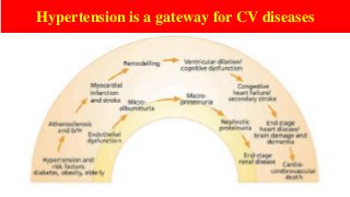 Hypertension is a gateway for CV diseases
 