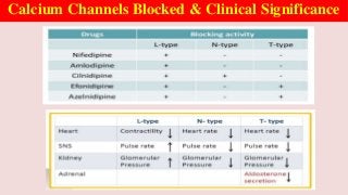 Calcium Channels Blocked & Clinical Significance
 