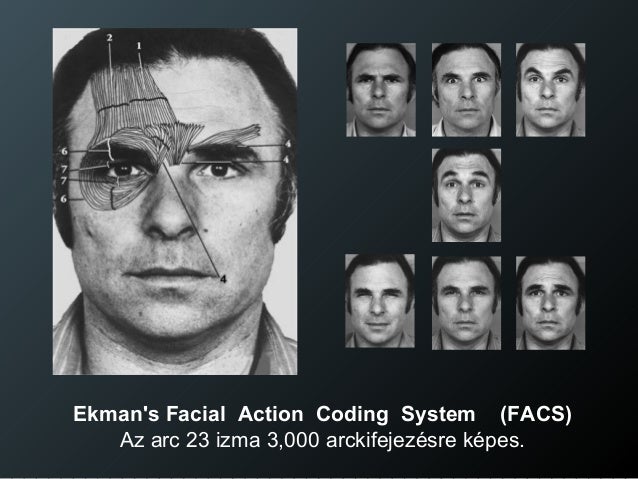 paul ekman facial action coding system angry paul ekman facial action coding system angry