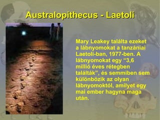 Australopithecus - Laetoli

           Mary Leakey találta ezeket
           a lábnyomokat a tanzániai
           Laetoli-...