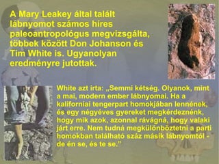 A Mary Leakey által talált
lábnyomot számos híres
paleoantropológus megvizsgálta,
többek között Don Johanson és
Tim White ...